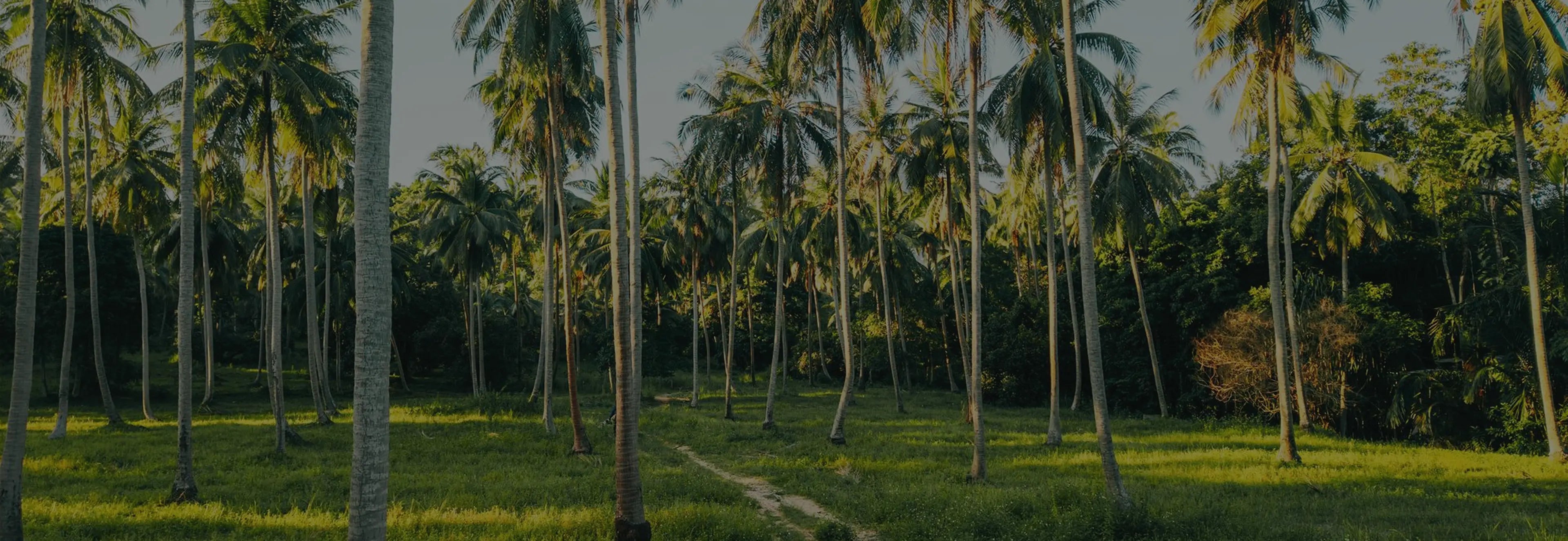 Frame_2147226606.webp